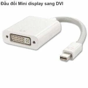 Mini Displayport to DVI 24+5